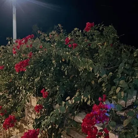 Ballkoni Vendégház