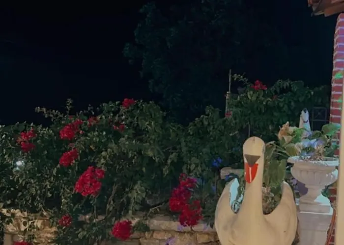 Ballkoni Pensjonat *